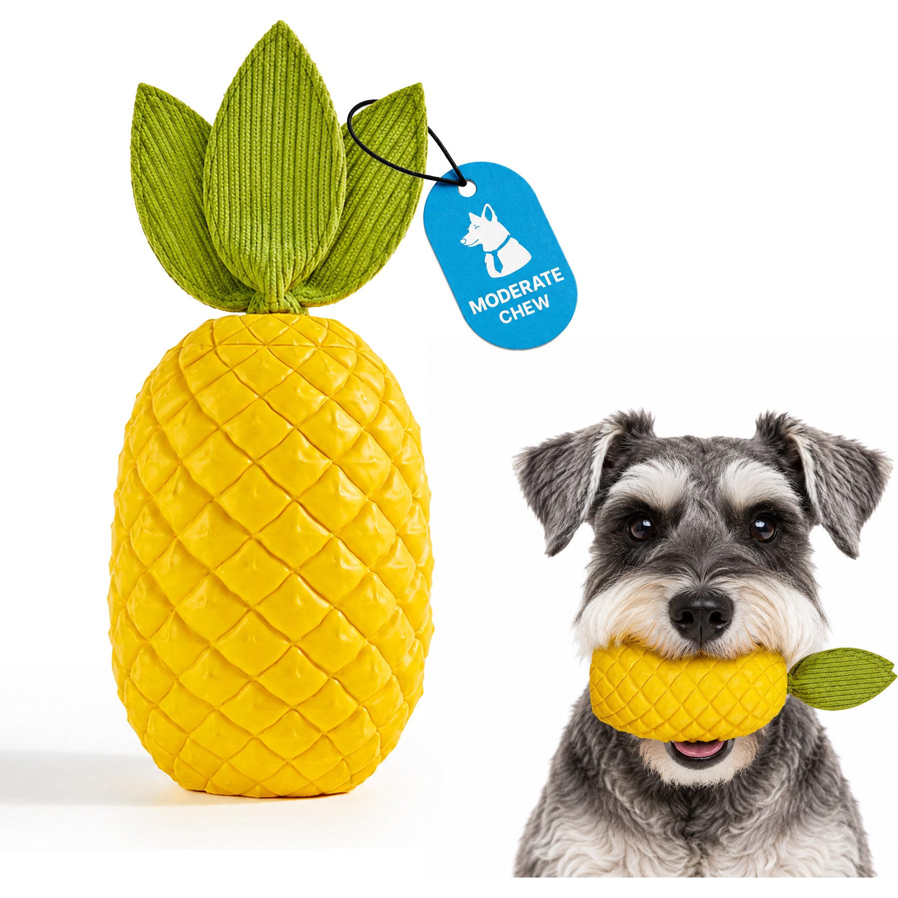 Potaroma Pineapple Shaped Durable Rubber Teething Stick Interactive Exercise Dog Chew Toy with Squeaker & Corduroy Leaves, Multicolor, 8.7-in