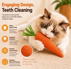 Purr Harbor Cotton Carrot Teething Chew Cat Toy, Orange, 2 count slide 2 of 6