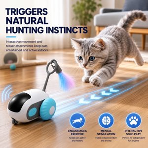 Purrcado Automatic Moving Mouse Interactive Exercise Robot Remote Control Cat Toy, Blue