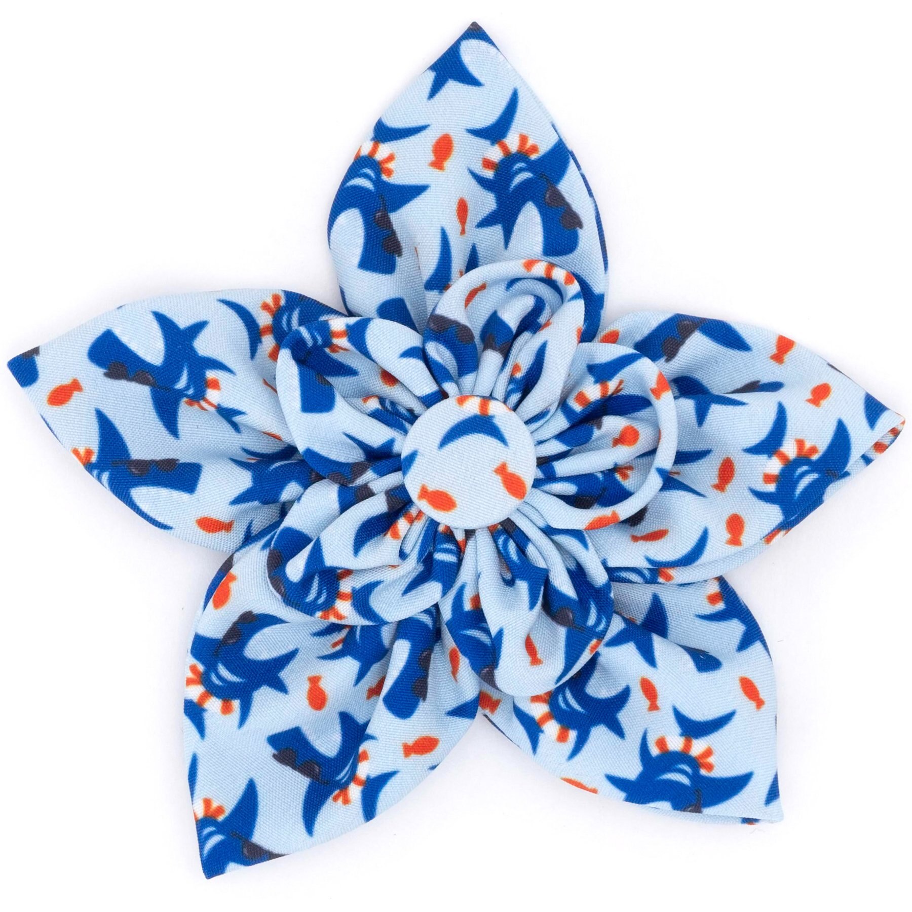 The Worthy Dog Sharkuterie Flower Dog Collar Accessory, Blue, Large