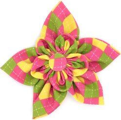 The Worthy Dog Bright Argyle Flower Dog Collar Accessory, Multicolor, Large