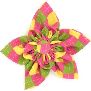 The Worthy Dog Bright Argyle Flower Dog Collar Accessory, Multicolor, Small