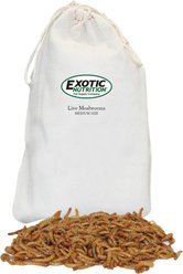 Exotic Nutrition Medium Live Mealworms Reptile Treats, 250 count