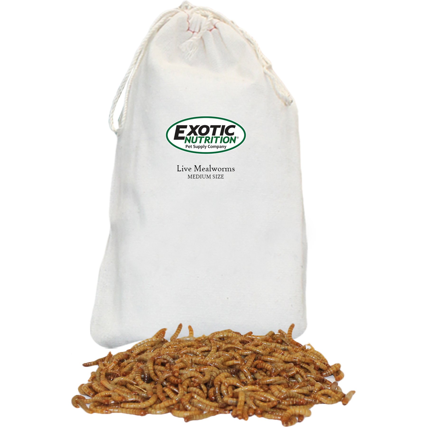 Exotic Nutrition Medium Live Mealworms Reptile Treats, 5000 count