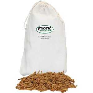 Exotic Nutrition Medium Live Mealworms Reptile Treats, 250 count