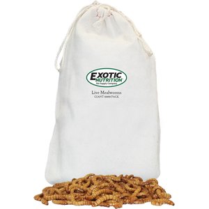 Exotic Nutrition Giant Live Mealworms Reptile Treats, 100 count