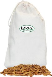Exotic Nutrition Large Live Mealworms Reptile Treats, 3000 count