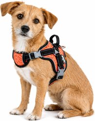 Dog Helios Scorpion Sporty High-Performance Free-Range Dog Harness, Orange, Medium slide 1 of 8