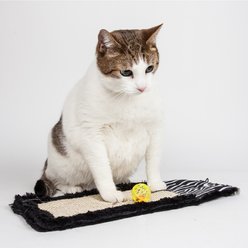 Pet Life 'Scrape-Away' Eco-Natural Sisal & Jute Hanging Carpet Cat Scratcher & Toy, Black slide 2 of 4