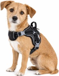Dog Helios Scorpion Sporty High-Performance Free-Range Dog Harness, Black, Small
