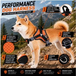 Dog Helios Scorpion Sporty High-Performance Free-Range Dog Harness, Orange, Medium slide 2 of 8
