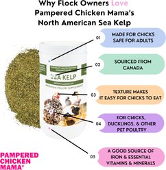 Pampered Chicken Mama North Atlantic Sea Kelp Extra Vitamin Mineral & Amino Acid Granules Poultry Supplement, 1-lb slide 2 of 4