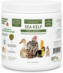 Pampered Chicken Mama North Atlantic Sea Kelp Extra Vitamin Mineral & Amino Acid Granules Poultry Supplement, 1-lb