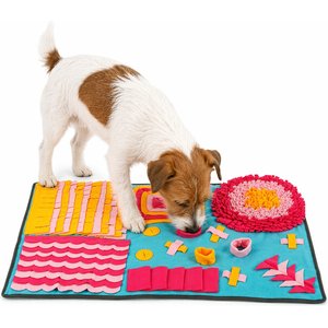 Pet Life Sniffer Snack Interactive Feeding Snuffle Dog & Cat Mat, Blue/Pink/Orange