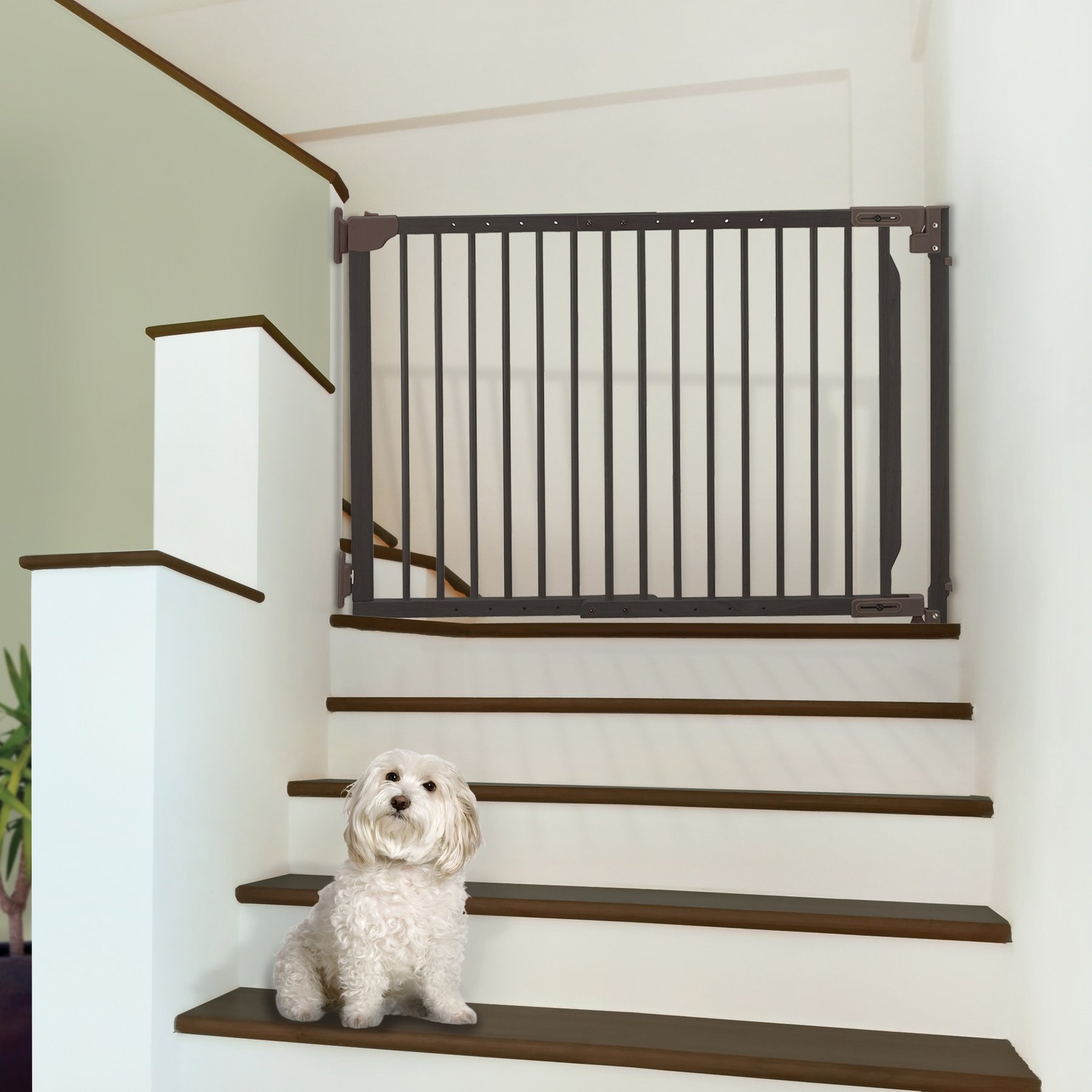 Richell Expandable Walk-Thru Gate for Dogs & Cats