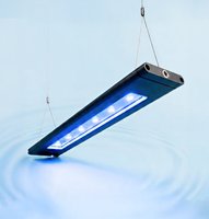 Lighting