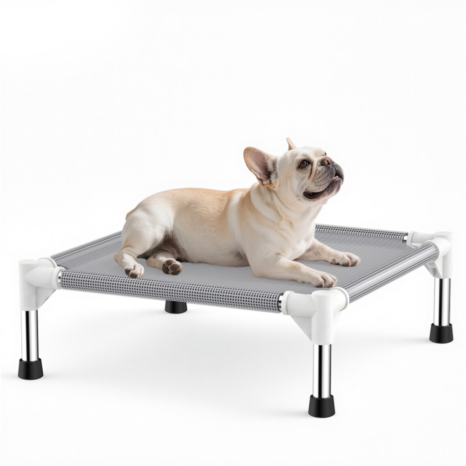 Caghash Stainless-Steel Framed Elevated Cooling Dog Bed with Teslin Breathable Mesh, Grey, 20 x 20 x 8-in