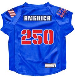 Littlearth America 250 Stretch Dog Jersey, Big