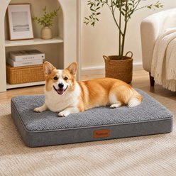 Kylinsure Orthopedic Pillow Dog & Cat Bed with Removable Cover, Grey, Medium