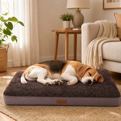 Kylinsure Orthopedic Pillow Dog & Cat Bed with Removable Cover, Coffee, Medium