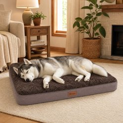 Kylinsure Orthopedic Pillow Dog & Cat Bed with Removable Cover, Coffee, Large