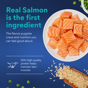Chewy Made Complete Nutrition Large Breed Puppy Salmon, Brown Rice & Vegetables Recipe Dry Dog Food (FORMERLY AMERICAN JOURNEY), 28-lb bag