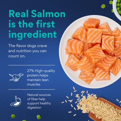 Show full view: Chewy Made Complete Nutrition Small Breed Salmon, Brown Rice & Vegetables Recipe Adult Dry Dog Food (FORMERLY AMERICAN JOURNEY), 28-lb bundle slide 5 of 9