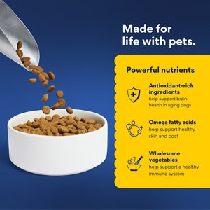 Chewy Made Complete Nutrition Senior Chicken, Brown Rice & Vegetables Recipe Dry Dog Food (FORMERLY AMERICAN JOURNEY), 28-lb bag