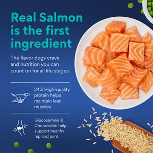 Chewy Made Complete Nutrition Large Breed Salmon, Brown Rice & Vegetables Recipe Dry Dog Food (FORMERLY AMERICAN JOURNEY), 28-lb bag