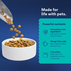 Chewy Made Complete Nutrition Healthy Weight Salmon, Brown Rice & Vegetables Recipe Dry Dog Food (FORMERLY AMERICAN JOURNEY), 28-lb bag slide 2 of 8