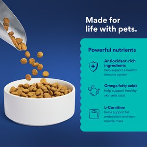 Chewy Made Complete Nutrition Healthy Weight Salmon, Brown Rice & Vegetables Recipe Dry Dog Food (FORMERLY AMERICAN JOURNEY), 28-lb bag