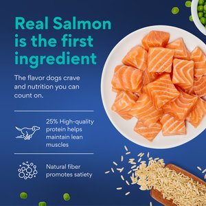 Chewy Made Complete Nutrition Healthy Weight Salmon, Brown Rice & Vegetables Recipe Dry Dog Food (FORMERLY AMERICAN JOURNEY), 28-lb bag