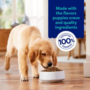 Chewy Made Complete Nutrition Large Breed Puppy Salmon, Brown Rice & Vegetables Recipe Dry Dog Food (FORMERLY AMERICAN JOURNEY), 28-lb bag