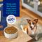 Show in main carousel: Chewy Made Complete Nutrition Small Breed Salmon, Brown Rice & Vegetables Recipe Adult Dry Dog Food (FORMERLY AMERICAN JOURNEY), 28-lb bundle slide 7 of 9