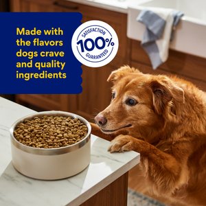 Chewy Made Complete Nutrition Senior Chicken, Brown Rice & Vegetables Recipe Dry Dog Food (FORMERLY AMERICAN JOURNEY), 28-lb bag