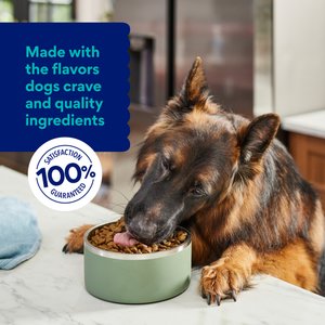 Chewy Made Complete Nutrition Large Breed Salmon, Brown Rice & Vegetables Recipe Dry Dog Food (FORMERLY AMERICAN JOURNEY), 28-lb bag