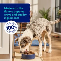 Chewy Made Complete Nutrition High Protein Grain-Free Large Breed Puppy Salmon & Sweet Potato Recipe Dry Dog Food (FORMERLY AMERICAN JOURNEY), 24-lb bag slide 2 of 8