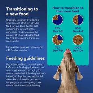 Chewy Made Complete Nutrition Large Breed Salmon, Brown Rice & Vegetables Recipe Dry Dog Food (FORMERLY AMERICAN JOURNEY), 28-lb bag