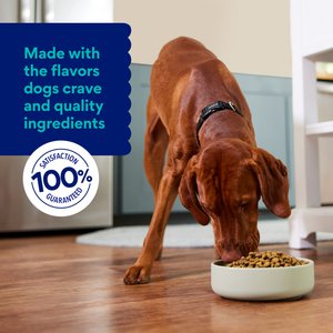 Chewy Made Complete Nutrition Healthy Weight Salmon, Brown Rice & Vegetables Recipe Dry Dog Food (FORMERLY AMERICAN JOURNEY), 28-lb bag
