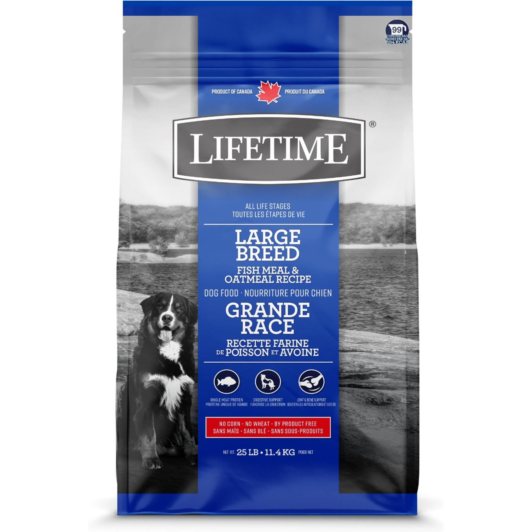 Lifetime Pet Food Healthy Grain Large Breed Fish & Oatmeal All Life Stages Dry Dog Food, 25-lb bag