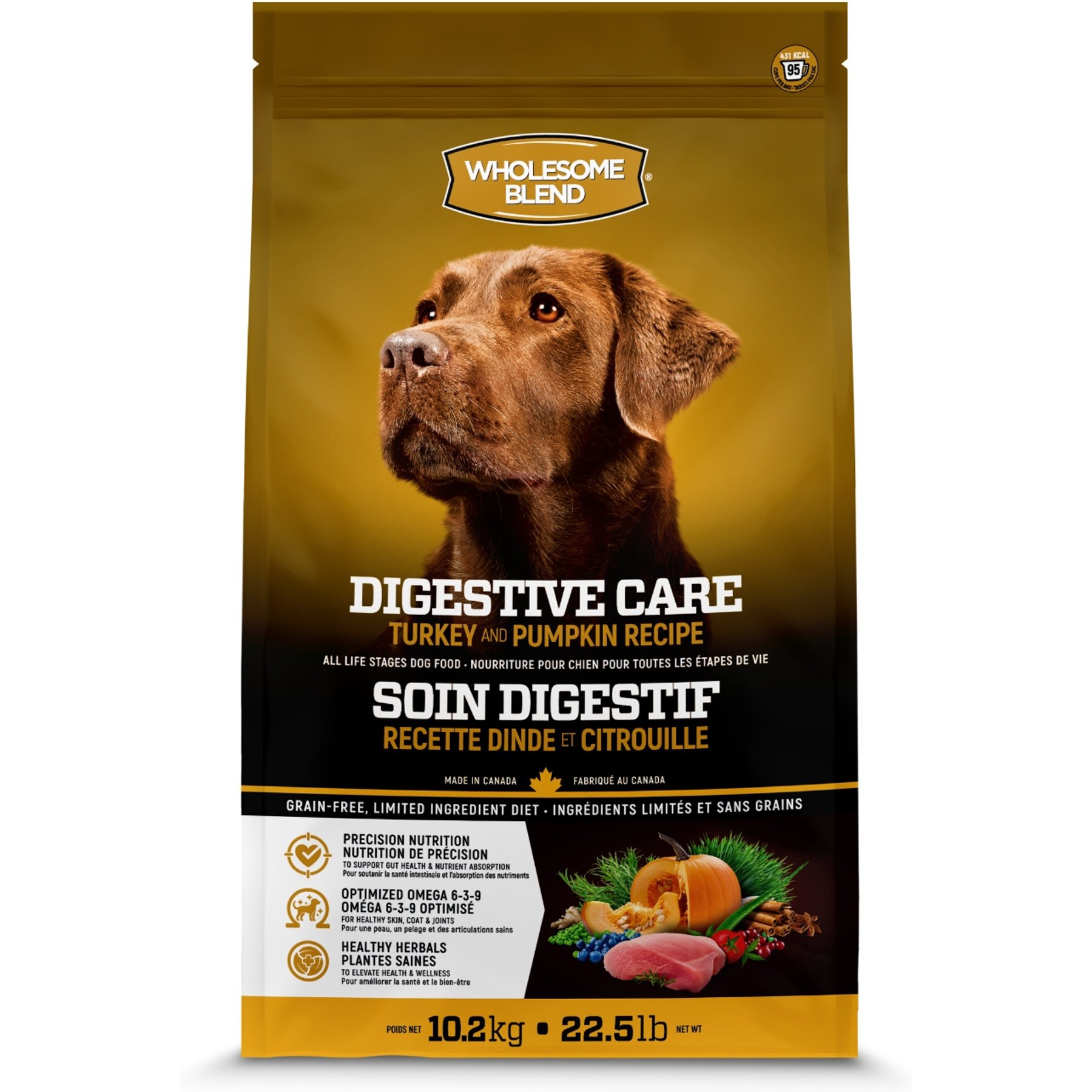 Wholesome Blend Grain-Free Digestive Care Turkey & Pumpkin ALS Dry Dog Food, 22.5-lb bag