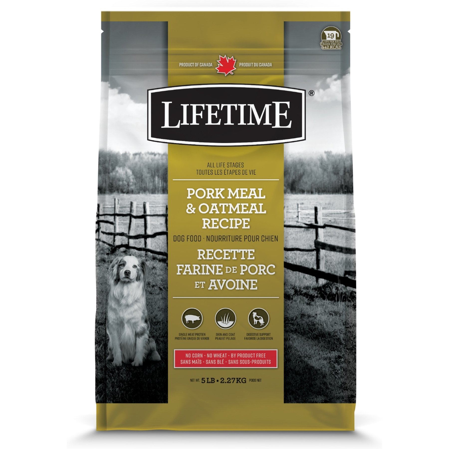 Lifetime Healthy Grain Pork & Oatmeal ALS Dry Dog Food, 5-lb bag
