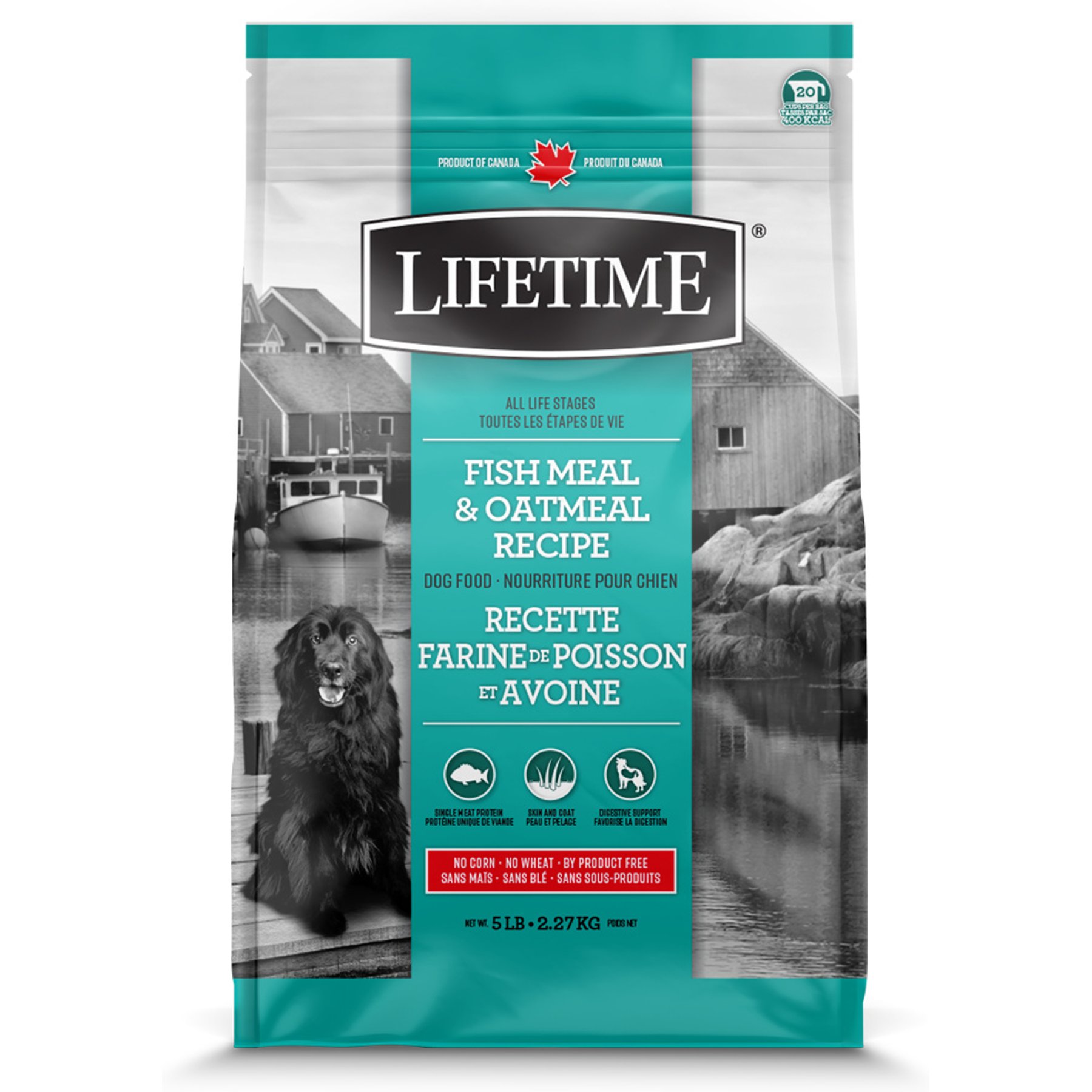 Lifetime Healthy Grain Fish & Oatmeal All Life Stages Dry Dog Food, 5-lb bag