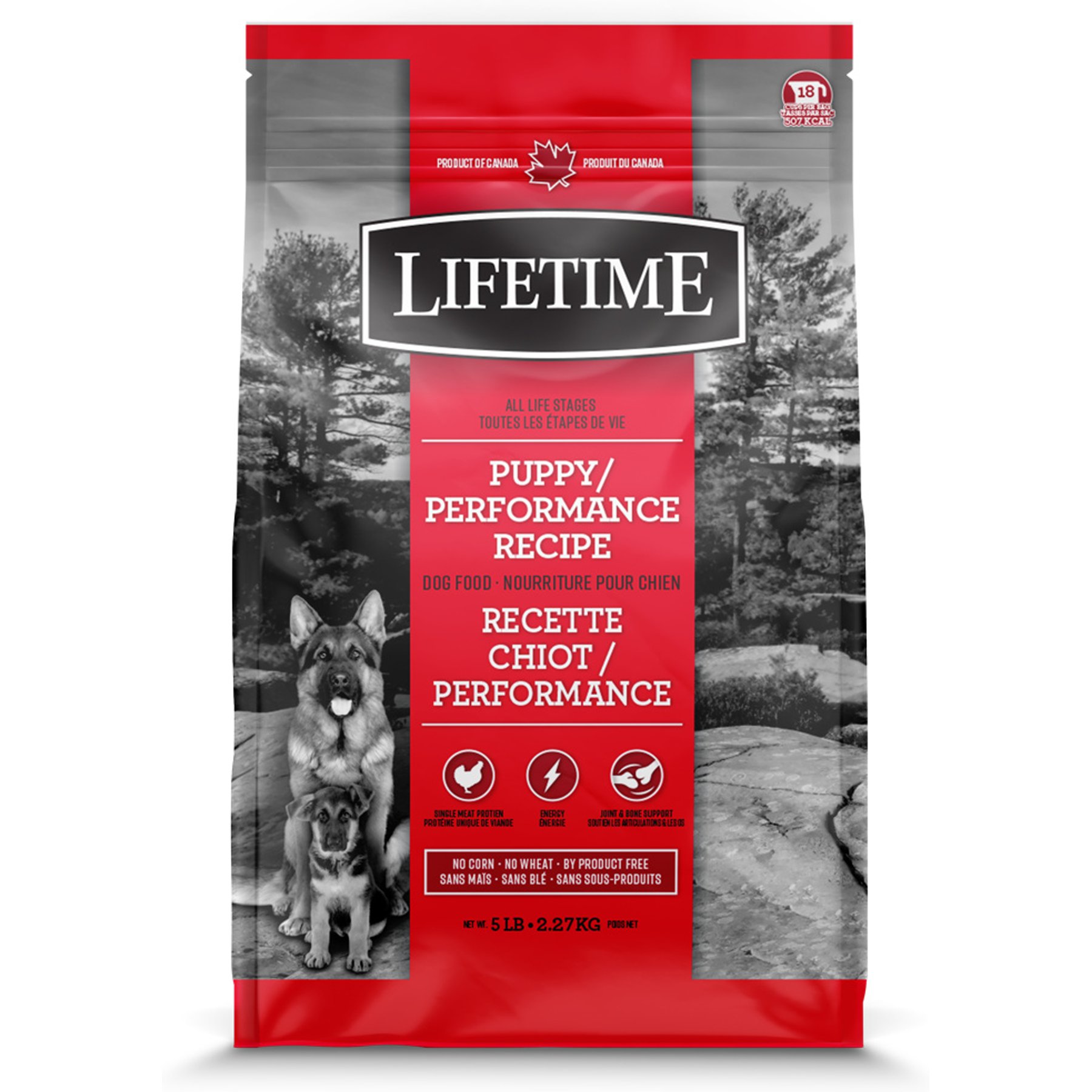 Lifetime Healthy Grain Puppy/Performance ALS Dry Dog Food, 5-lb bag