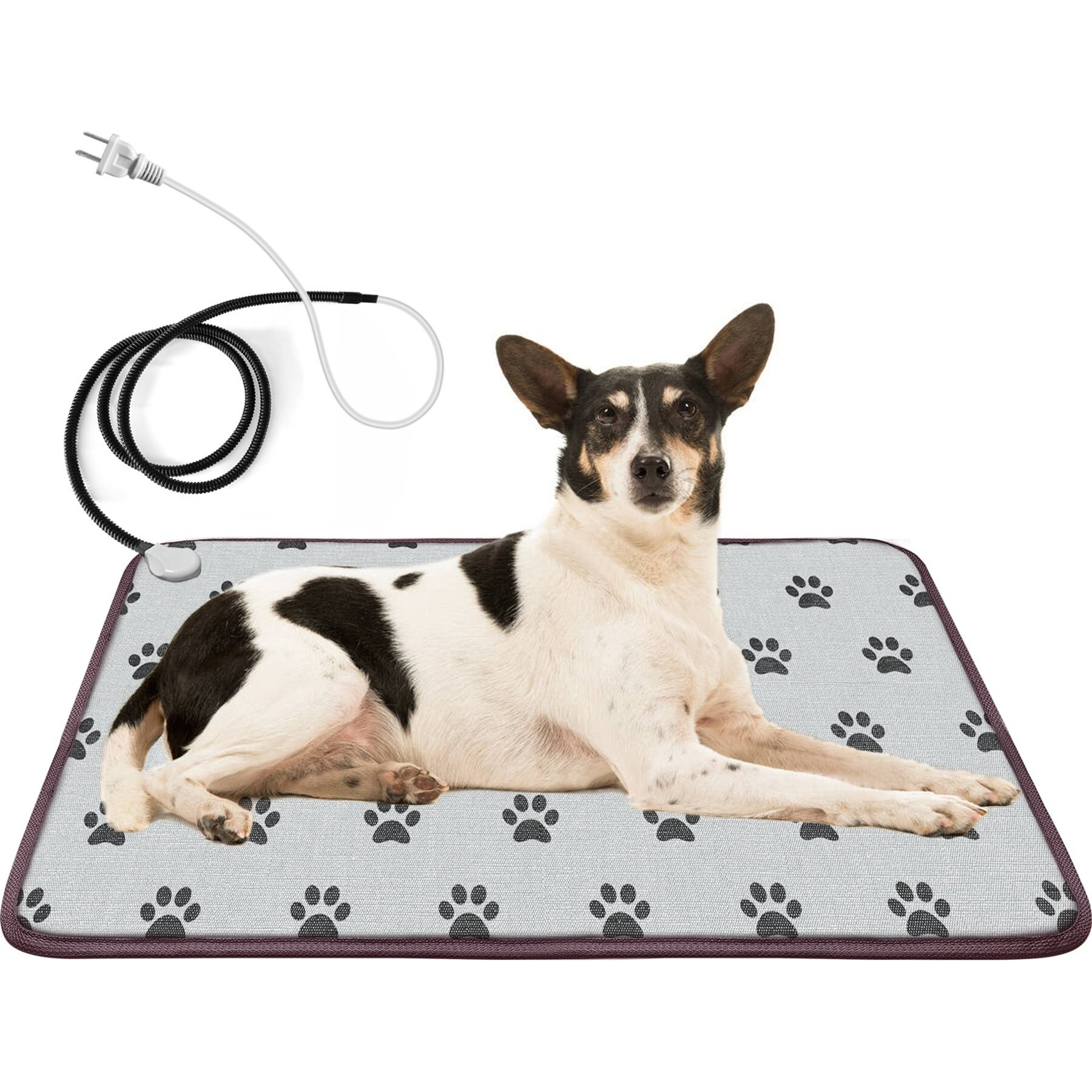 Golopet Indoor Dog & Cat Heated Pad with US Plug & without Remote, Blue, Large: 34 x 21-in