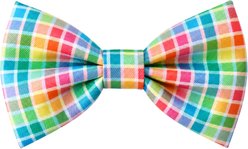 DAPPER DEXTER Plaid Accessories Dog Bow Tie, One Size, Rainbow slide 1 of 2