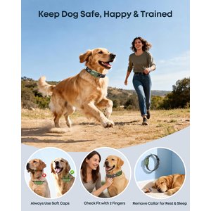 Jugbow 4500-ft Remote Waterproof & Adjustable Dog Training Collar, 7.8 - 24.4-in, Green, 1 count