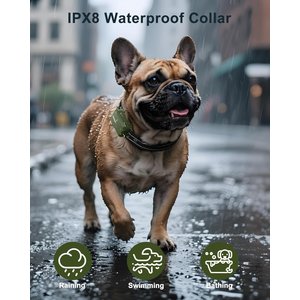 Jugbow 4500-ft Remote Waterproof & Adjustable Dog Training Collar, 7.8 - 24.4-in, Green, 1 count