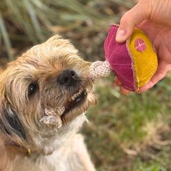 Georgie Paws Maisy the Mushroom Dog Plush Toy, Gold, Small slide 2 of 4
