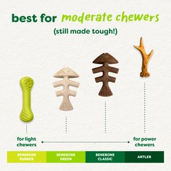 Benebone Green Fishbone Real Salmon Flavor Dog Chew Toy, Small slide 2 of 9